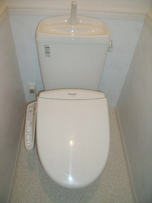 Toilet. Bidet with toilet