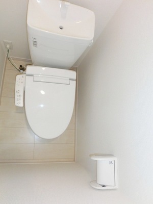 Toilet. Washlet comes.