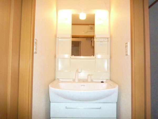 Washroom. Shampoo dresser