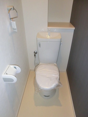 Toilet. Separated toilet