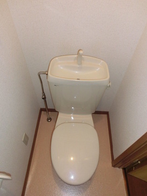 Toilet. Toilet