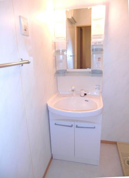 Washroom. Shampoo dresser