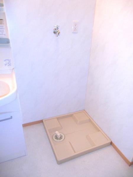 Washroom. Laundry Area