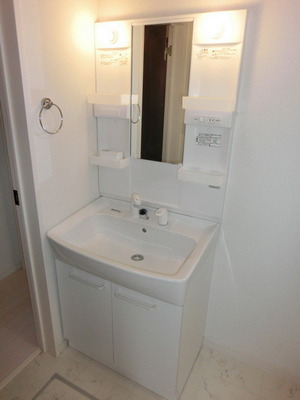 Washroom. Shampoo with Dresser