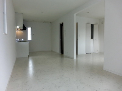 Living and room. Two-sided lighting living