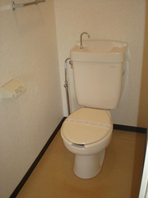 Toilet. Toilet