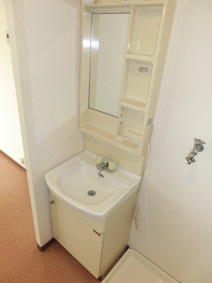 Washroom. Independent wash basin