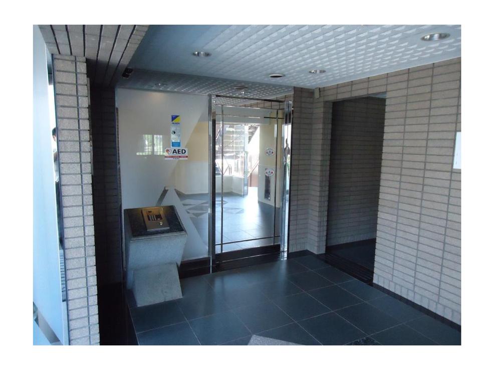 Entrance. Common areas