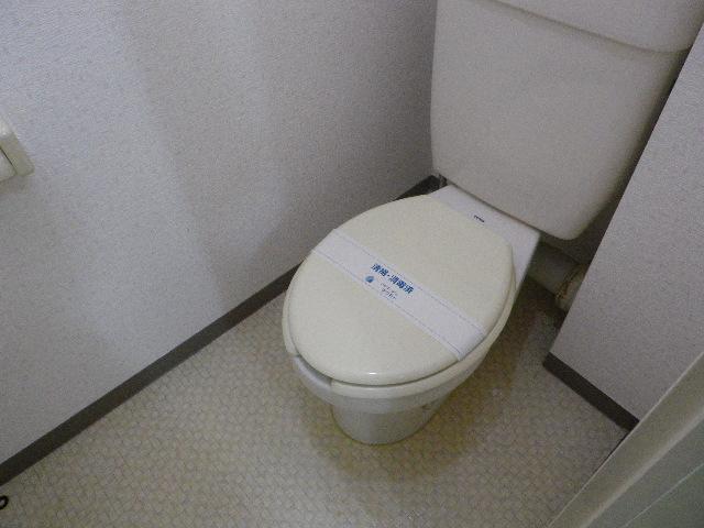 Toilet. I There is a feeling of cleanliness