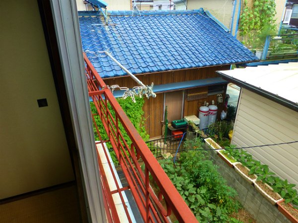 Balcony. Flower balcony