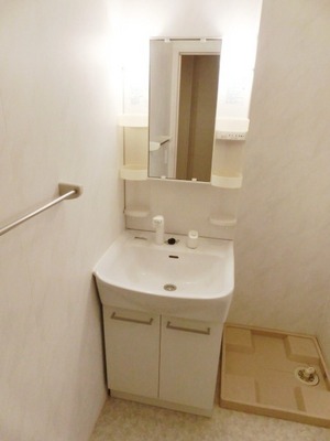 Washroom. Convenient Vanity