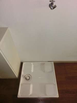 Washroom. Indoor Laundry Storage