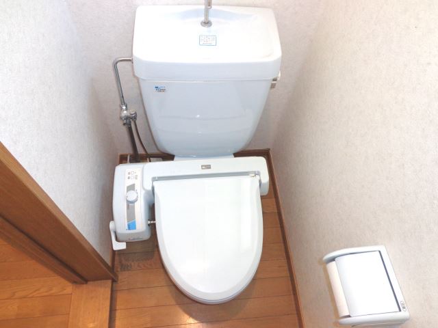 Toilet. Western-style toilet