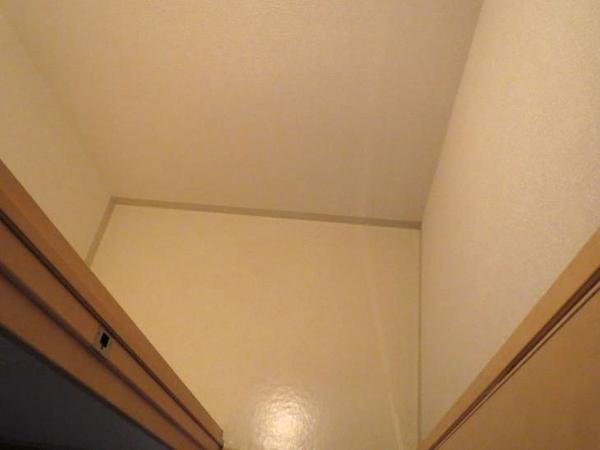 Other. It is a closet in the hallway. About 1 Pledge.