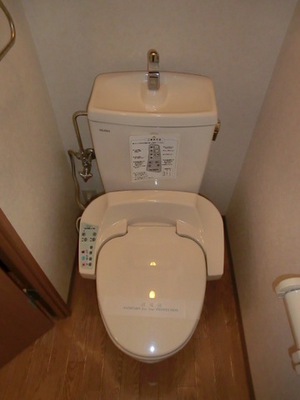 Toilet. Toilet (same type)