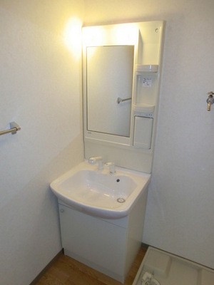 Washroom. Independent wash basin (same type)