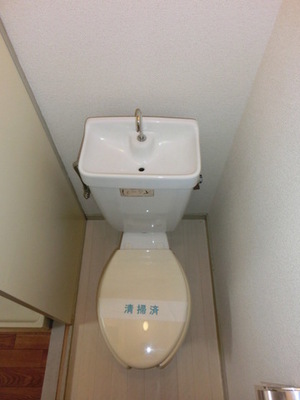 Toilet. Toilet