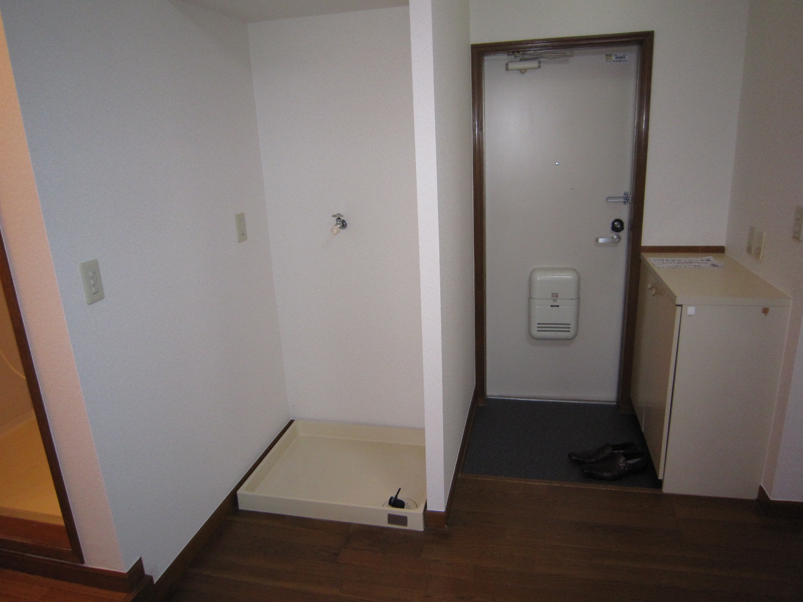 Entrance. Shoe case equipped