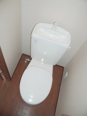 Toilet. Toilet