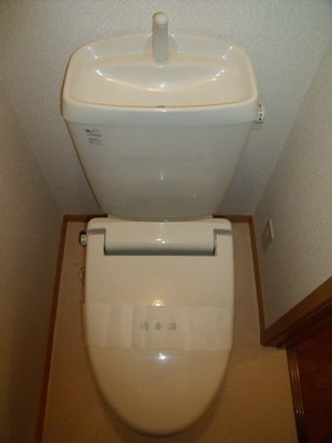 Toilet. Separate toilet