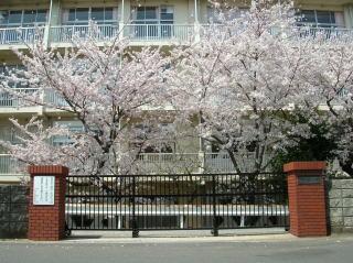 Primary school. Miyanogi until elementary school 1200m