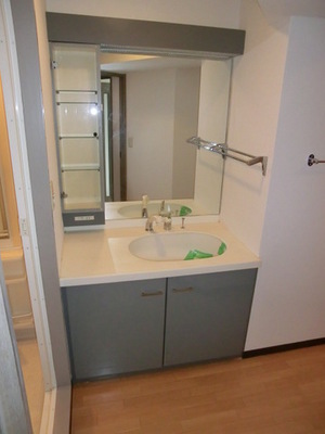 Washroom. Shampoo Dresser