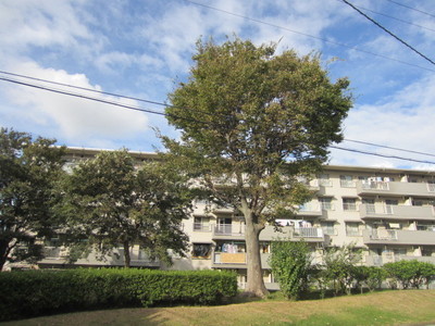 Building appearance. The on-site many green, Walk You can also enjoy.