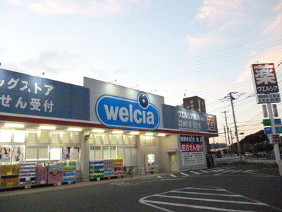 Dorakkusutoa. Uerushia Chiba Ensei store (drugstore) to 400m