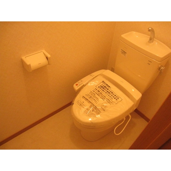 Toilet. With warm water washing toilet seat