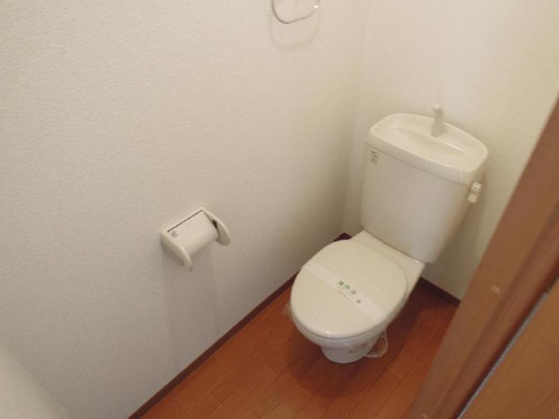 Toilet. Spacious space in the toilet renovation completed