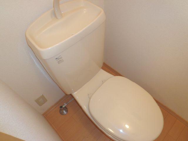 Toilet. Western-style toilet.