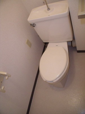 Toilet. Bidet can be installed