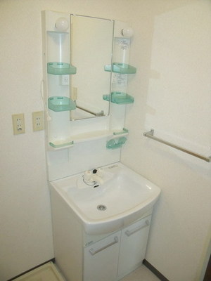 Washroom. Shampoo Dresser