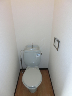 Toilet. Toilet