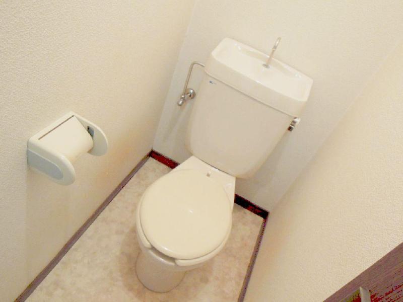 Toilet. Bright, a clean space!