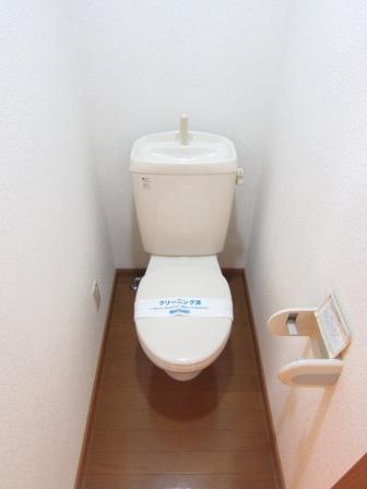 Toilet. It is a toilet with a clean!