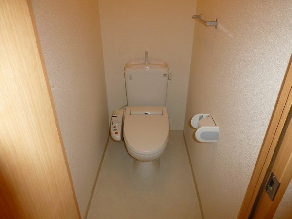 Toilet. Bathroom with a shower