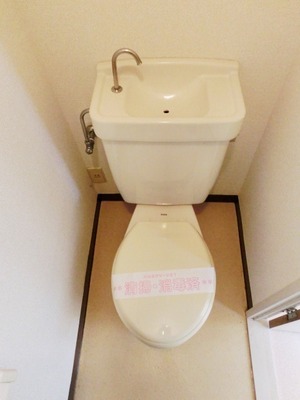 Toilet. I toilets are simple.