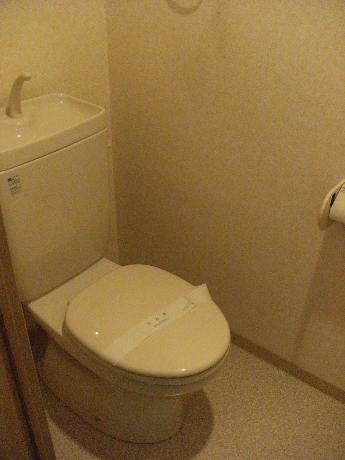 Toilet