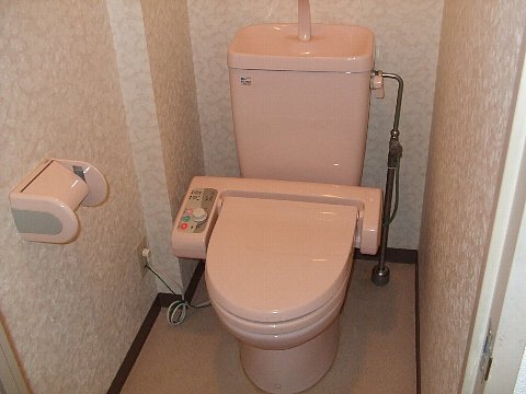 Toilet