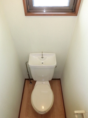 Toilet. Western-style toilet