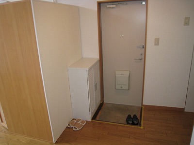 Entrance. Shoe case equipped