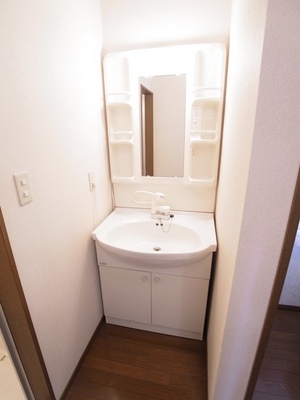 Washroom. Wash basin of independent wash room