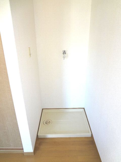 Other room space. It is indoor washing machine Storage. 