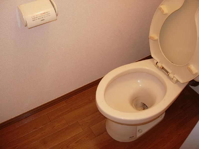 Toilet. There is a feeling of cleanliness, I will calm.