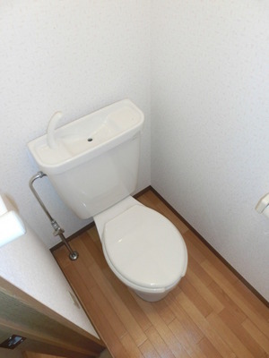 Toilet. Bidet can be installed