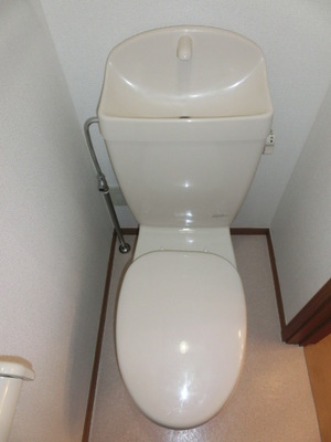 Toilet. It is a toilet with a clean. 