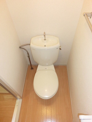 Toilet. Separated toilet