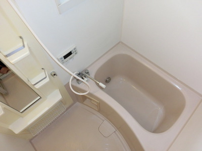 Bath. Additional heating with bathroom