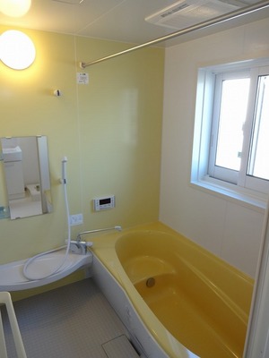 Bath. Vitamin bathroom of color, Heal the tired